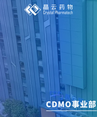 CDMO事业部 | 晶云星空顺利通过欧盟QP审计