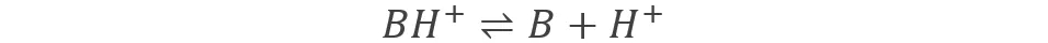 6.webp